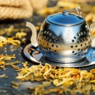 你喝过午子仙毫茶吗