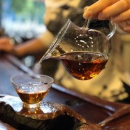 老竹大方茶怎么泡好喝