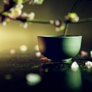 敬亭绿雪茶是哪里产的
