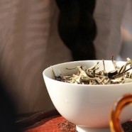 涌溪火青有什么功效