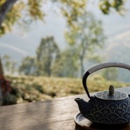 双井绿茶是什么茶
