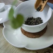 建德苞茶工艺有哪些要点