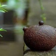 恩施玉露的功效