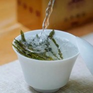 信阳毛尖哪个牌子最正宗