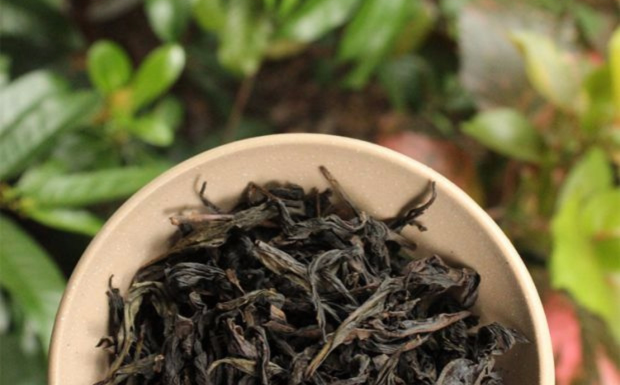 老枞水仙属于什么茶