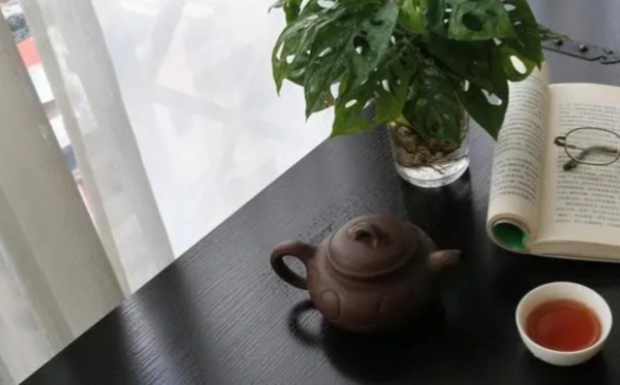 如何储存黄竹白毫