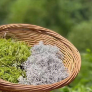 莓茶和藤茶有什么区别