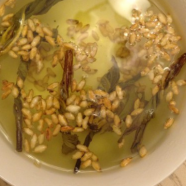 玄米茶上火还是降火