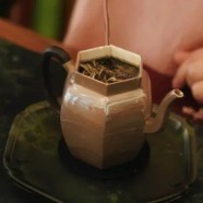 老竹大方的储存方法