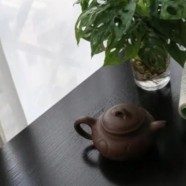 如何储存黄竹白毫