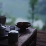 都匀毛尖是红茶吗