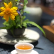 午子仙毫的泡法