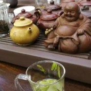 信阳毛尖是哪里产的