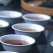 仙人掌茶的价值功能
