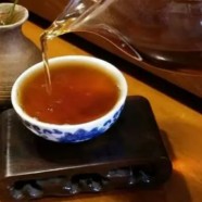 桂平西山茶详细介绍