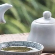 午子仙毫一斤多少钱