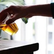 湖北双桥毛尖属于什么茶