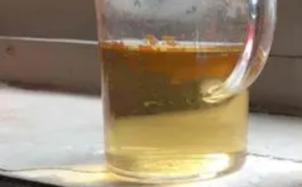 麻姑茶的冲泡方法和比例.jpg