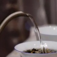 天山绿茶多少钱一斤