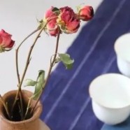 江山绿牡丹与常山龙顶哪个好