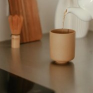 永川秀芽哪个牌子最好