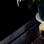 狗牯脑茶是高档茶吗