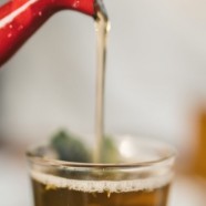 建德苞茶种类