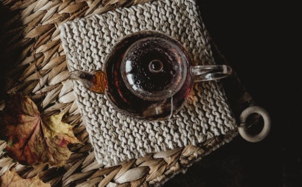 仙人掌茶的功效与作用是什么.jpg 仙人掌茶的功效与作用是什么.jpg