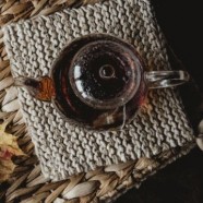 仙人掌茶的功效与作用是什么