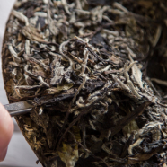 白牡丹茶产地