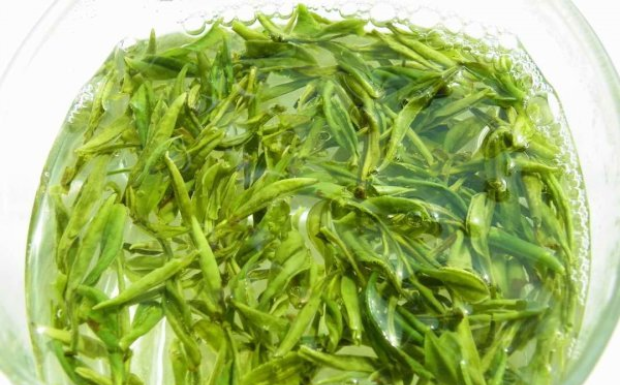 霍山黄芽的作用禁忌有哪些.png