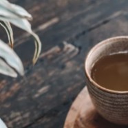 建德苞茶钻苞特级