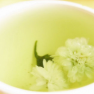 茉莉花茶能减肥吗