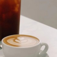 蕉城天山绿茶