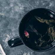 六安瓜片怎么念