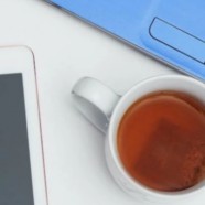 狗牯脑茶属于什么档次