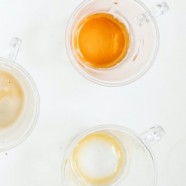 桂东玲珑茶简介