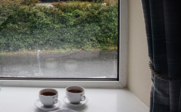 永川秀芽是什么品种的茶.jpg 永川秀芽是什么品种的茶.jpg