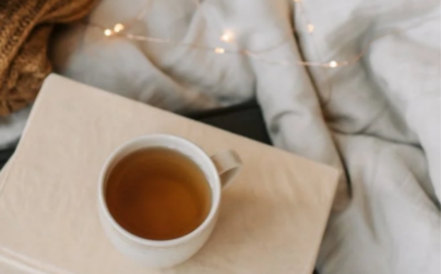 桐庐天尊贡芽详细介绍