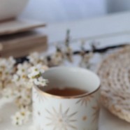 雨花茶的冲泡方法