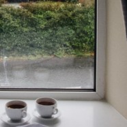 永川秀芽是什么品种的茶