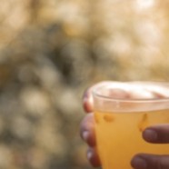 庐山云雾茶档次怎么样