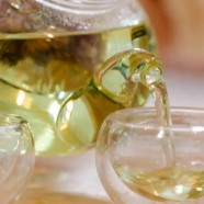 江山绿牡丹茶属于什么茶