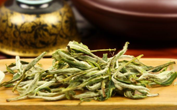 野生白牡丹茶简介.png 野生白牡丹茶简介.png