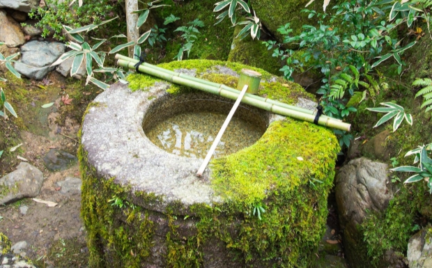 雨花茶是哪里的特产.jpg 雨花茶是哪里的特产.jpg