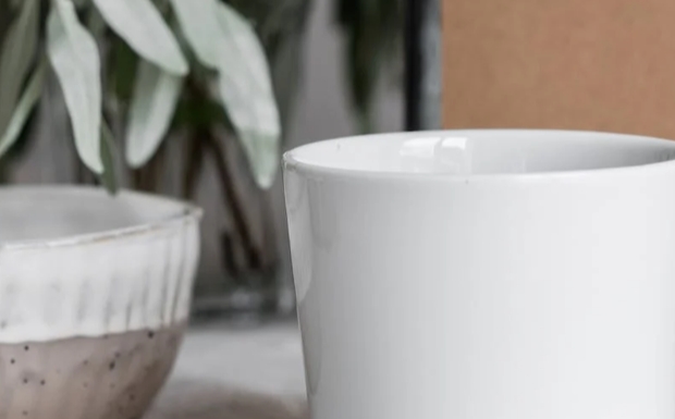 仙人掌茶是仙人掌泡的茶吗.jpg 仙人掌茶是仙人掌泡的茶吗.jpg