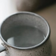 涌溪火青是什么茶有哪些特点