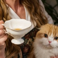 径山茶多少钱一斤