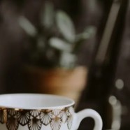 雨花茶和碧螺春的区别