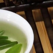 永川秀芽的冲泡方法
